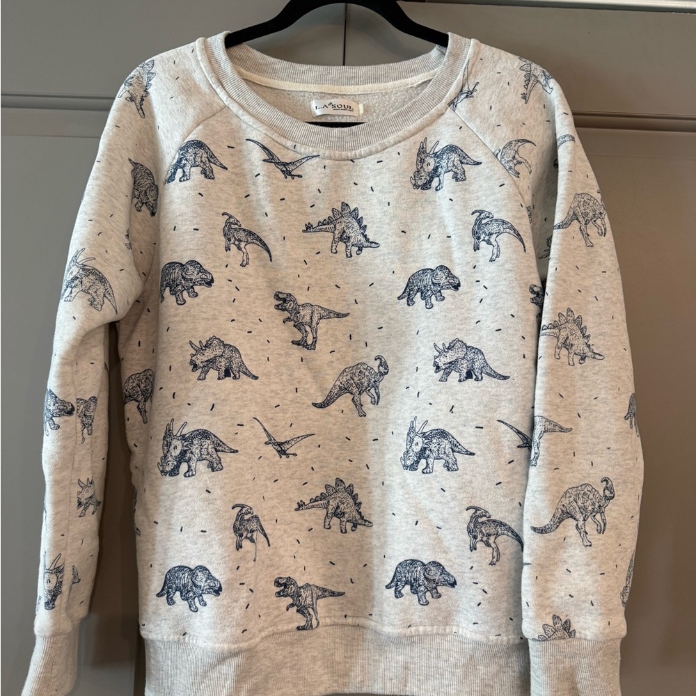 Dinosaur Print Crew Neck Sweater - Gray with Blue